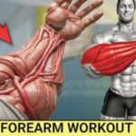 Forearm Workouts